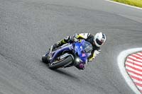 anglesey;brands-hatch;cadwell-park;croft;donington-park;enduro-digital-images;event-digital-images;eventdigitalimages;mallory;no-limits;oulton-park;peter-wileman-photography;racing-digital-images;silverstone;snetterton;trackday-digital-images;trackday-photos;vmcc-banbury-run;welsh-2-day-enduro